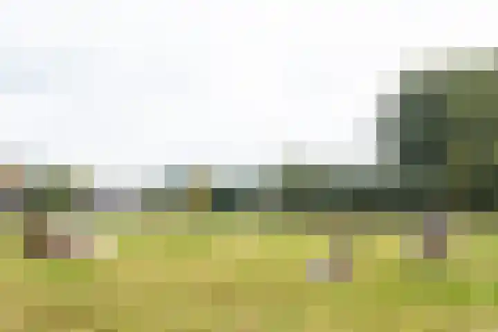 Pausendijk 1 Halle thumbnail 51