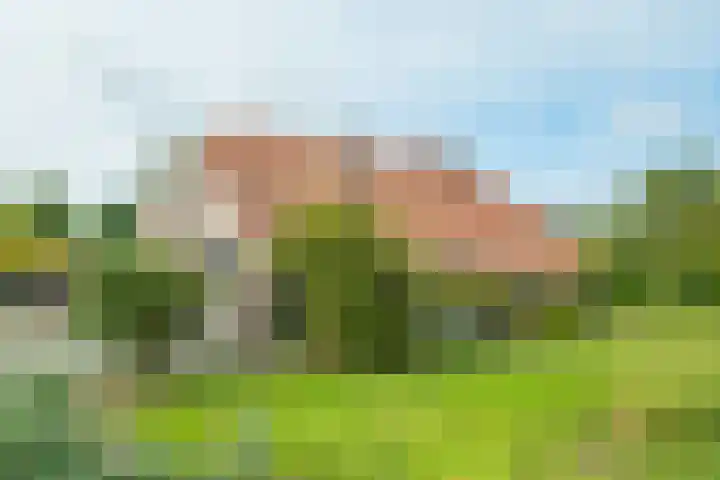 Pausendijk 1 Halle thumbnail 8