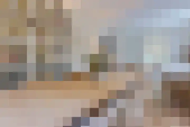 Pauw van Wieldrechtlaan 20 Zeist thumbnail 12