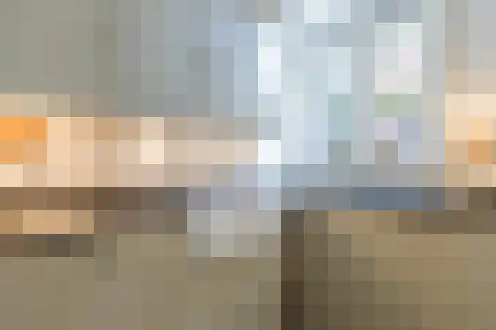 Pauw van Wieldrechtlaan 20 Zeist thumbnail 20