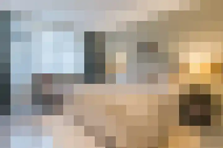 Pauw van Wieldrechtlaan 20 Zeist thumbnail 34