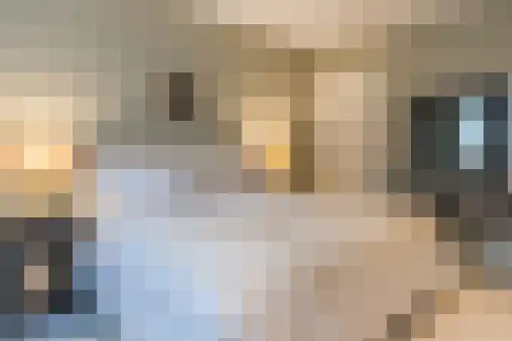 Pauw van Wieldrechtlaan 20 Zeist thumbnail 35