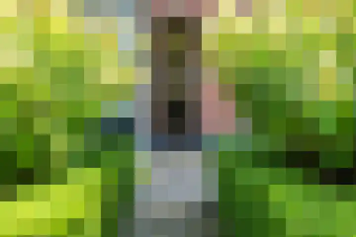 Pauw van Wieldrechtlaan 20 Zeist thumbnail 4