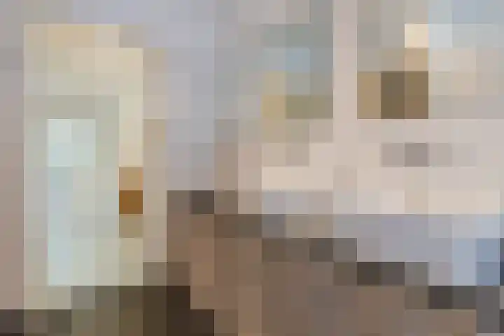 Pauw van Wieldrechtlaan 20 Zeist thumbnail 50