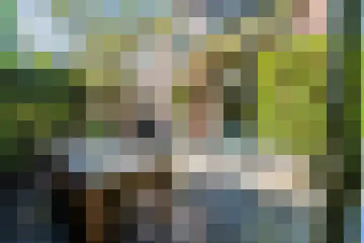 Pauw van Wieldrechtlaan 20 Zeist thumbnail 61