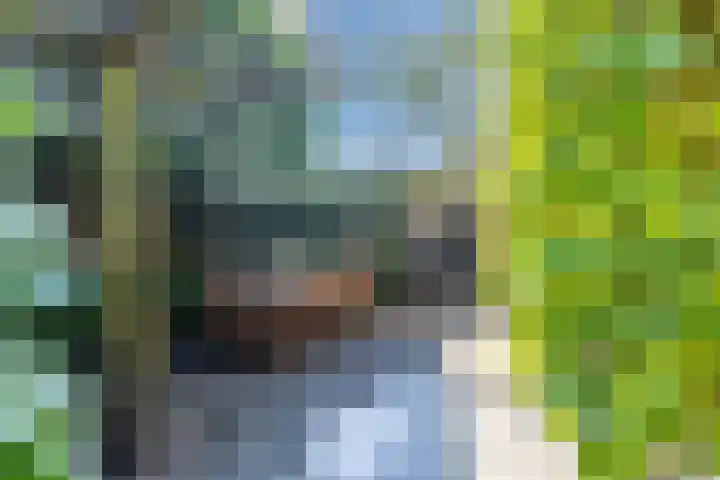 Pauw van Wieldrechtlaan 20 Zeist thumbnail 65