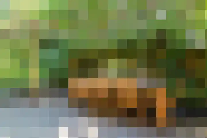 Pauw van Wieldrechtlaan 20 Zeist thumbnail 66