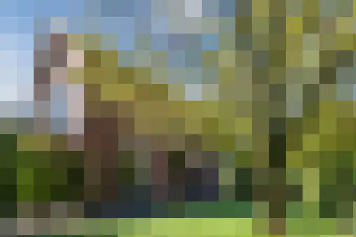 Pauw van Wieldrechtlaan 20 Zeist thumbnail 68