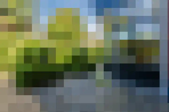 Pauw van Wieldrechtlaan 20 Zeist thumbnail 73