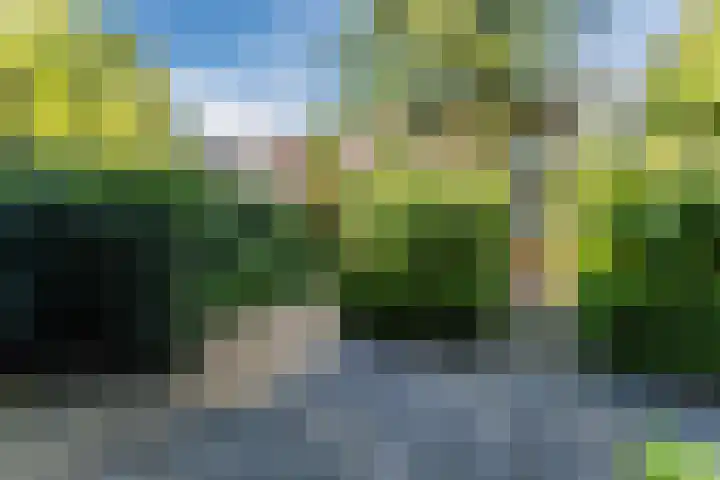 Pauw van Wieldrechtlaan 20 Zeist thumbnail 74