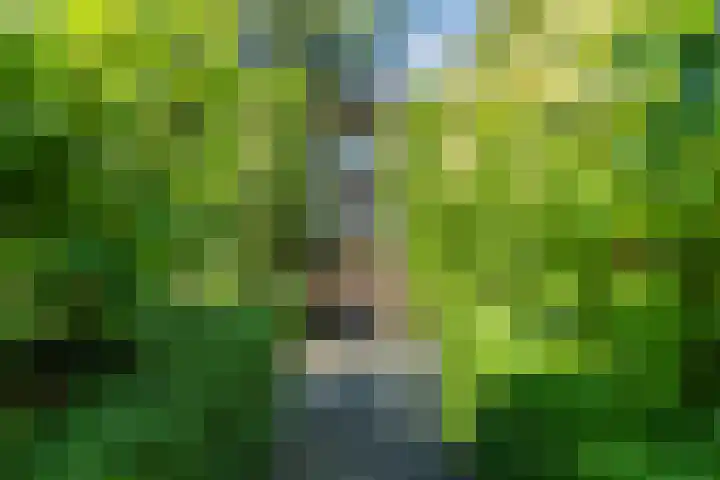 Pauw van Wieldrechtlaan 20 Zeist thumbnail 75