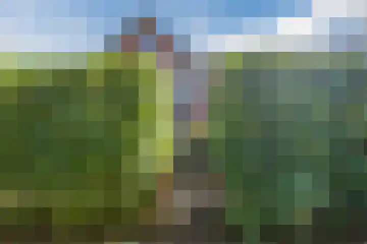 Pauw van Wieldrechtlaan 20 Zeist thumbnail 76