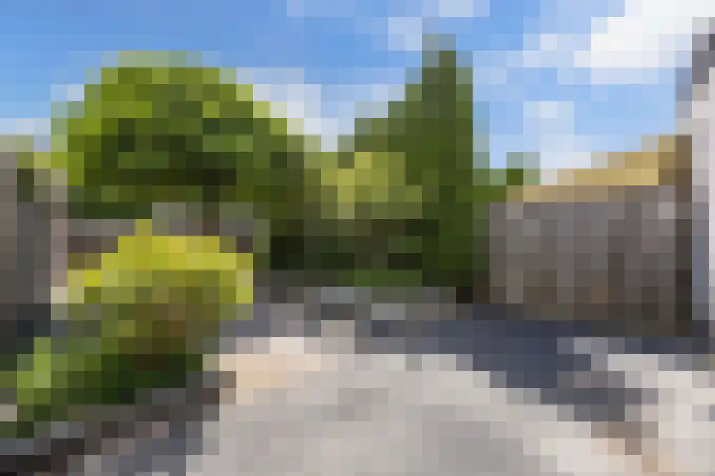 Pauwenburg 146 Lelystad thumbnail 42