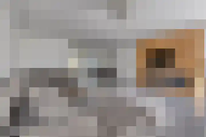 Pauwenburg 20 Rotterdam thumbnail 15