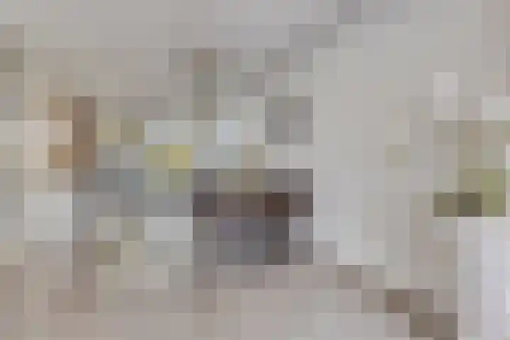 Pauwenburg 20 Rotterdam thumbnail 19