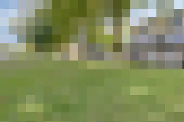 Pauwenburg 20 Rotterdam thumbnail 33