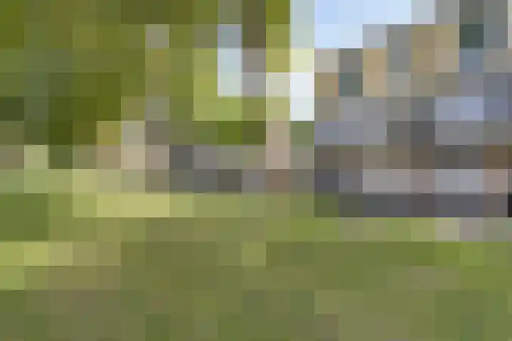 Pauwenburg 20 Rotterdam thumbnail 35