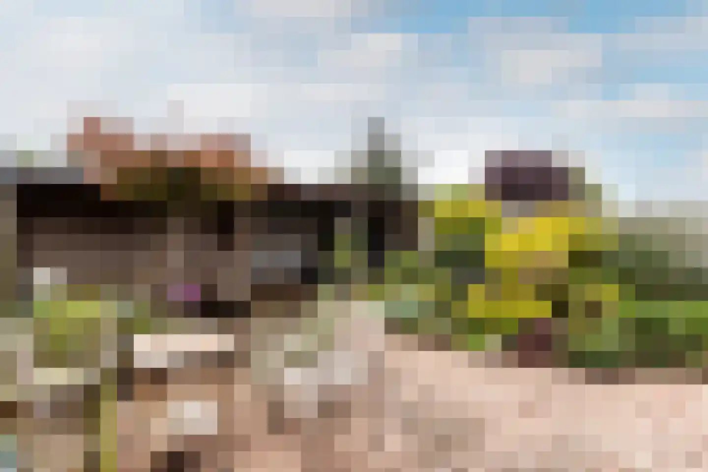Pauwenburg 44 Lelystad thumbnail 40