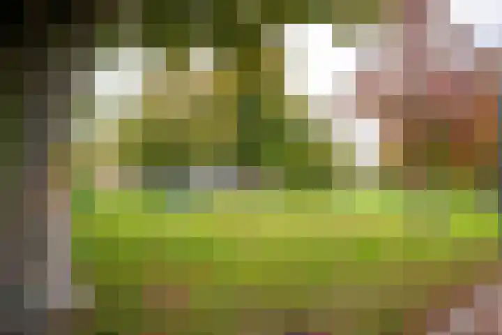 Pauwenburg 7 Hoofddorp thumbnail 32