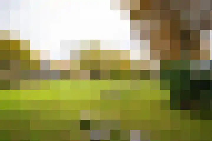 Pauwenburg 7 Hoofddorp thumbnail 33