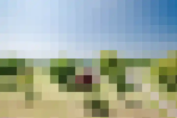 Pauwenburg 7 Hoofddorp thumbnail 37