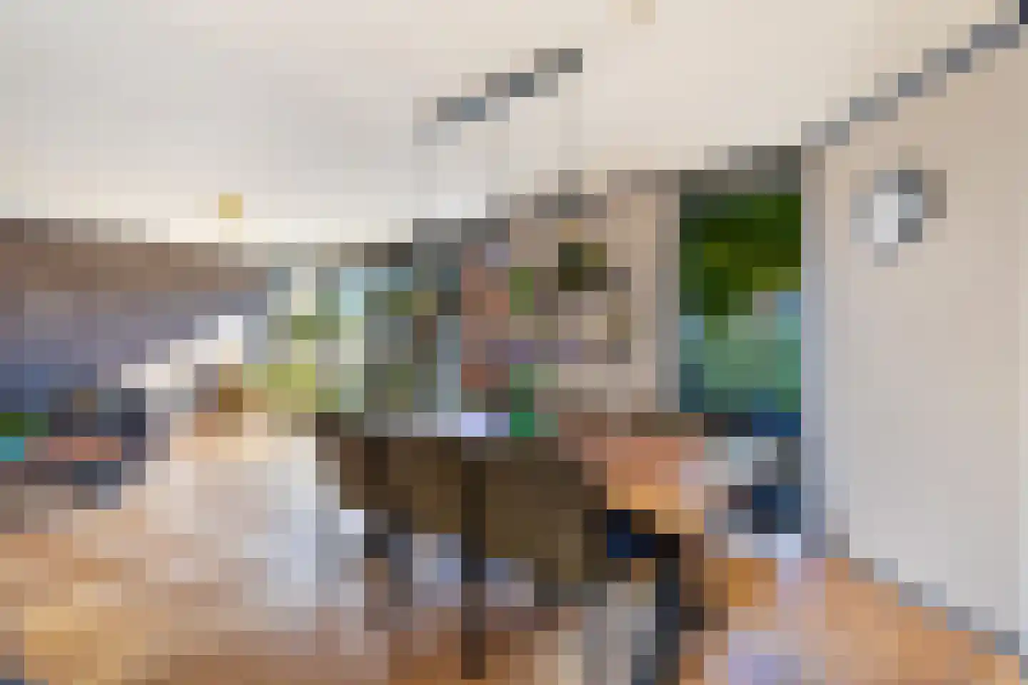 Pauwendans 26 Capelle aan den IJssel thumbnail 18