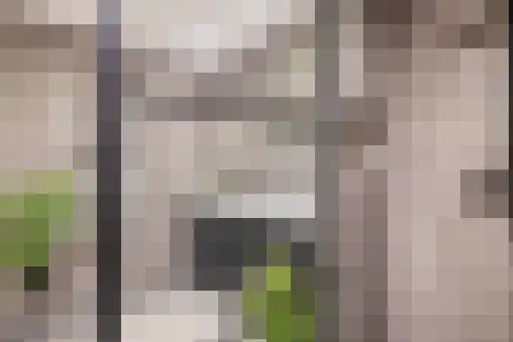 Pauwendans 28 Capelle aan den IJssel thumbnail 29