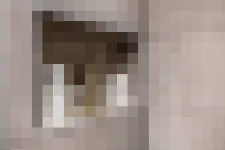 Pauwendans 28 Capelle aan den IJssel thumbnail 30