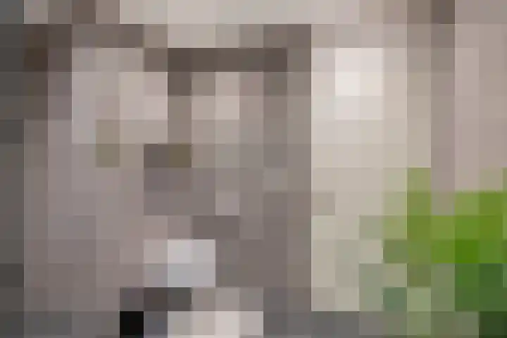 Pauwendans 28 Capelle aan den IJssel thumbnail 32
