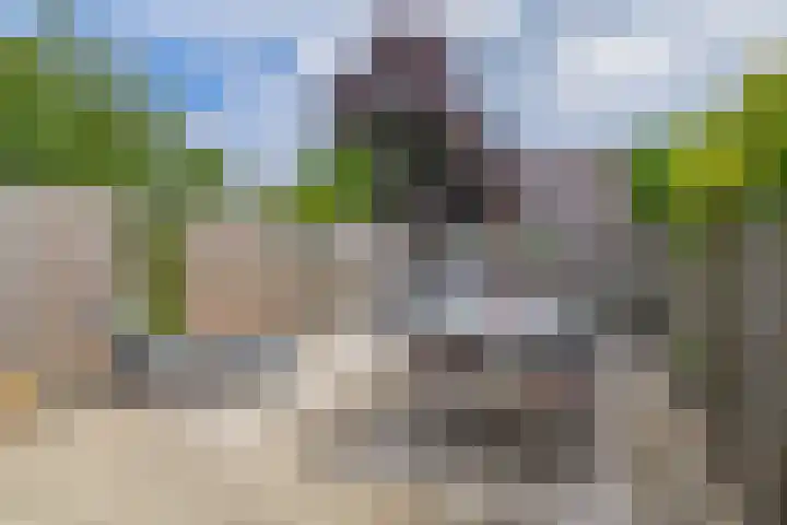 Pauwendans 28 Capelle aan den IJssel thumbnail 4