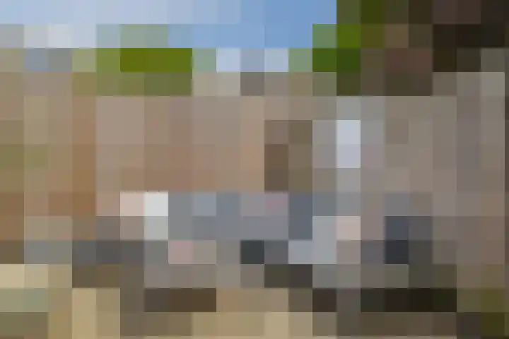 Pauwendans 28 Capelle aan den IJssel thumbnail 41
