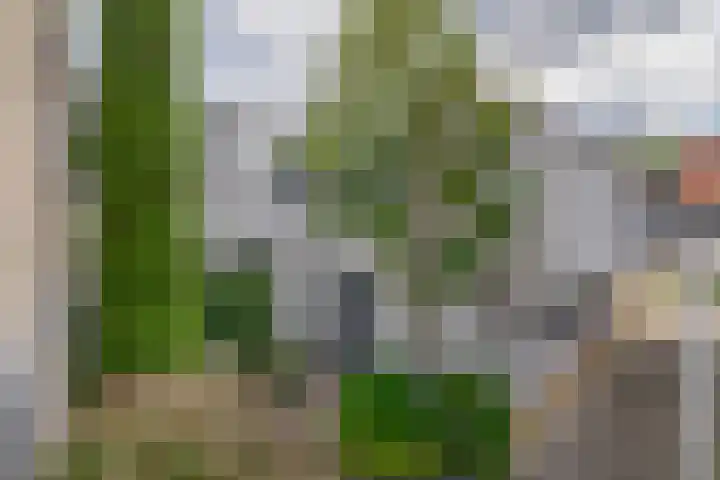 Pauwendans 28 Capelle aan den IJssel thumbnail 53