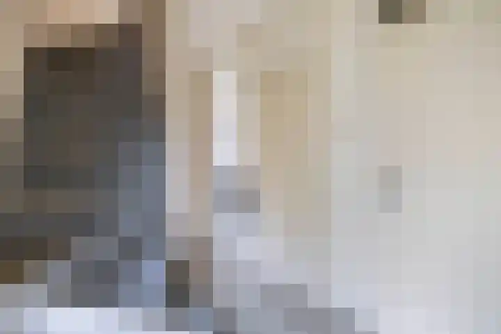 Pauwendans 28 Capelle aan den IJssel thumbnail 6