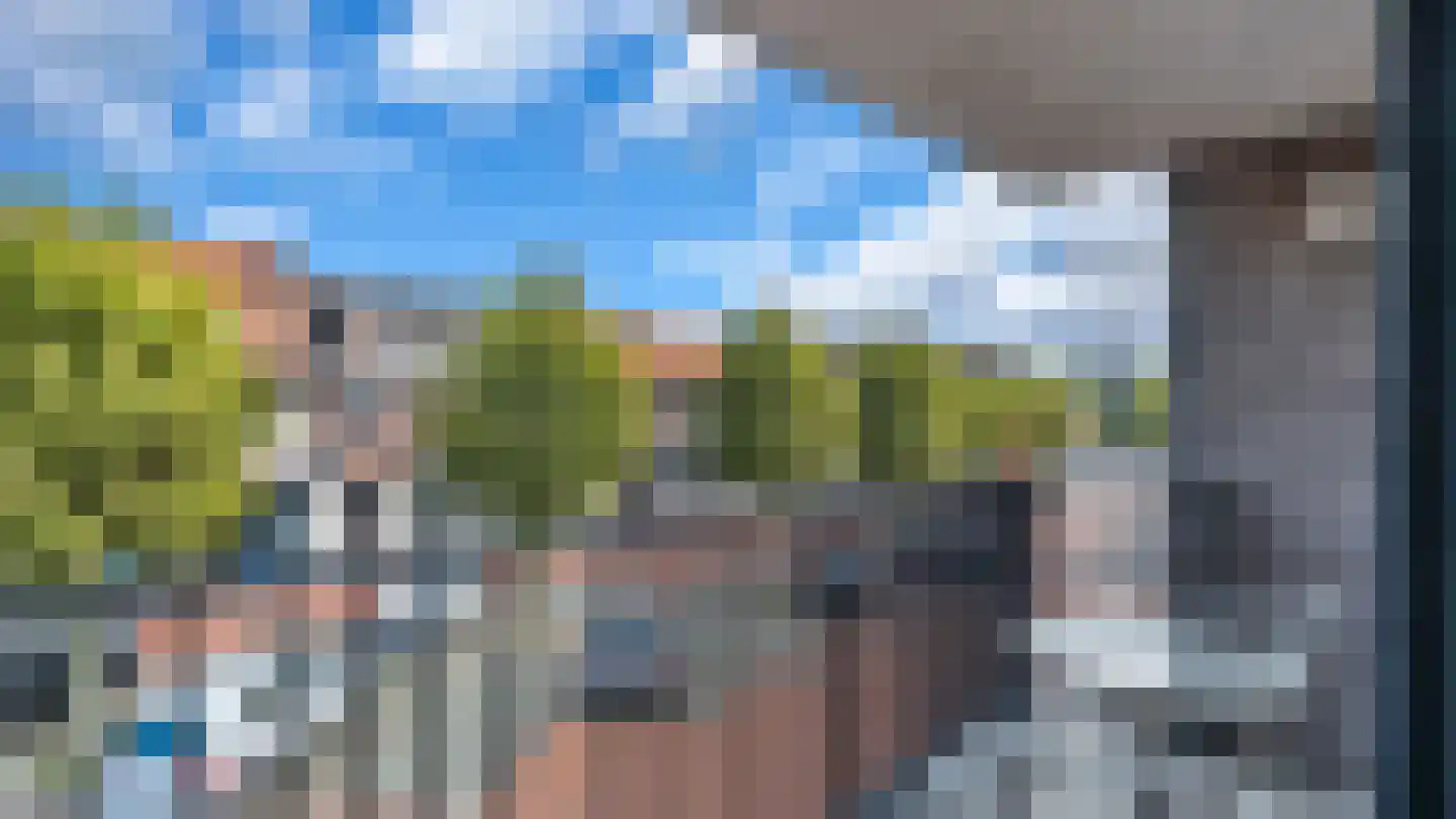 Pauwengraaf 51 2 Arriën thumbnail 10