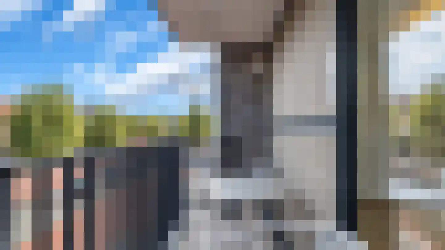 Pauwengraaf 51 2 Arriën thumbnail 11
