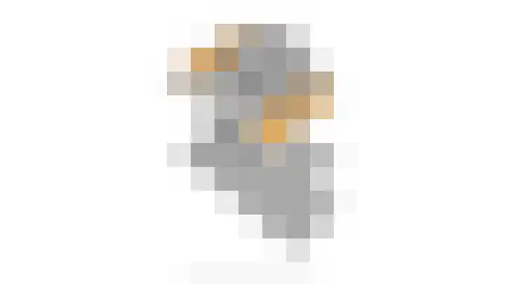 Pauwenhof 17 Goes thumbnail 100