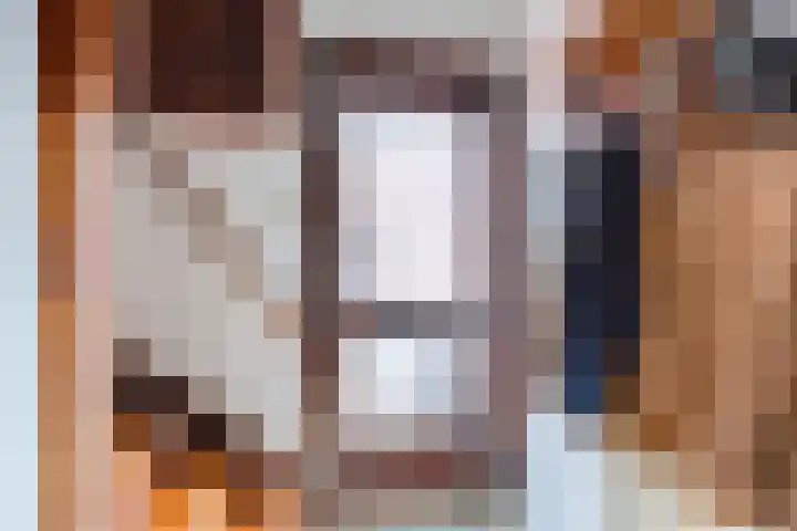 Pauwenhof 17 Goes thumbnail 15