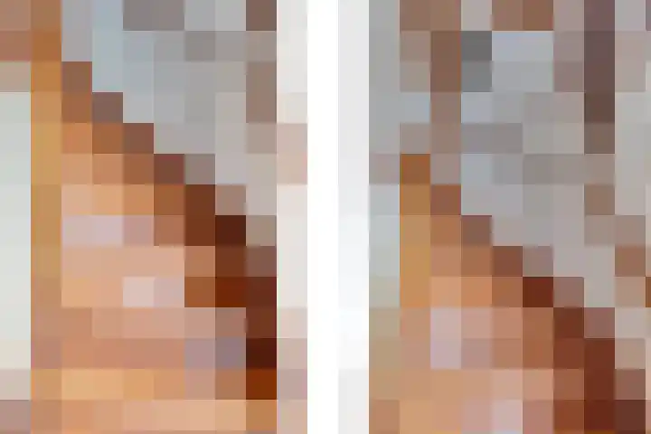 Pauwenhof 17 Goes thumbnail 17