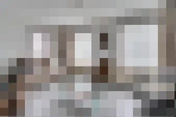 Pauwenhof 17 Goes thumbnail 19