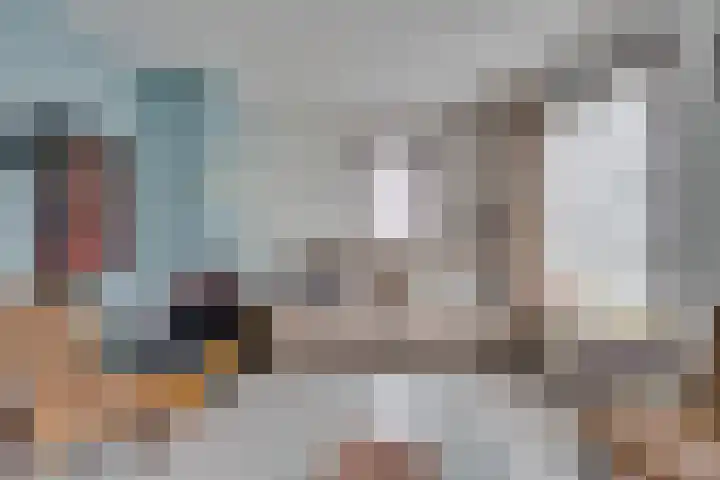 Pauwenhof 17 Goes thumbnail 20