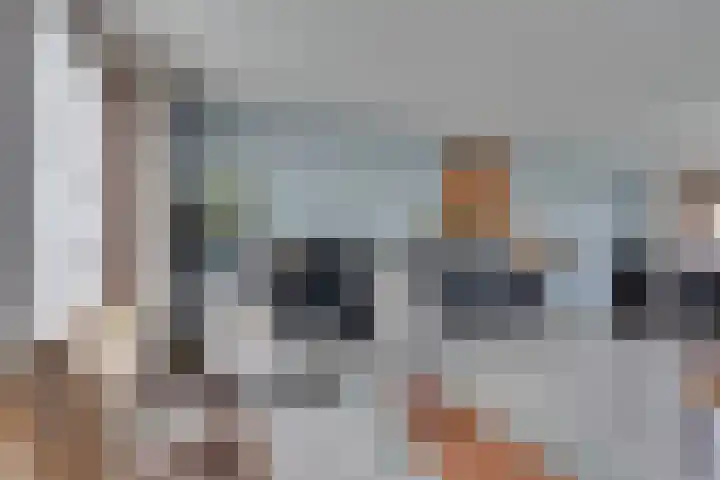Pauwenhof 17 Goes thumbnail 22