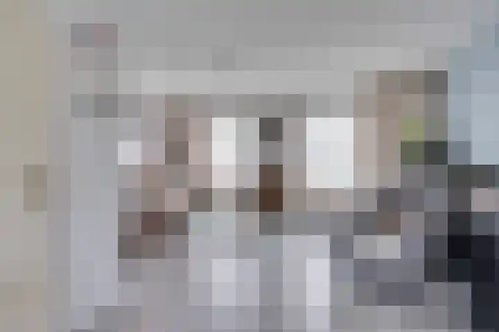 Pauwenhof 17 Goes thumbnail 23