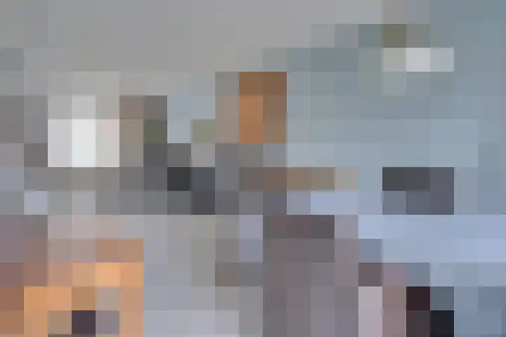 Pauwenhof 17 Goes thumbnail 26