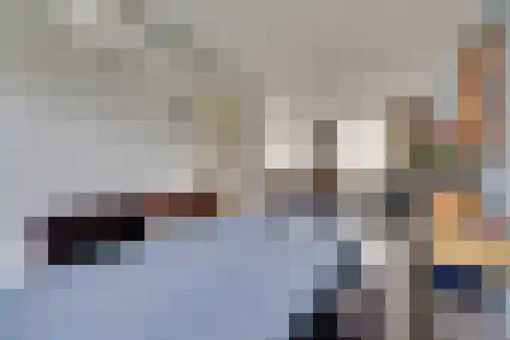 Pauwenhof 17 Goes thumbnail 27