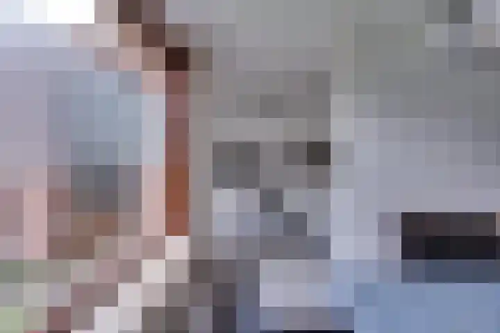 Pauwenhof 17 Goes thumbnail 28
