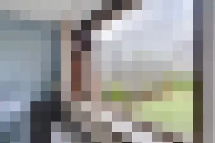 Pauwenhof 17 Goes thumbnail 30