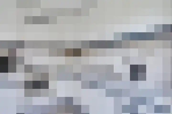 Pauwenhof 17 Goes thumbnail 31
