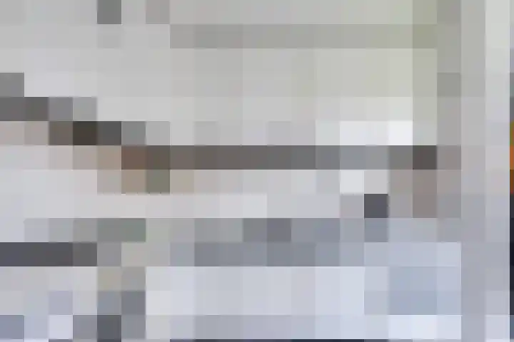 Pauwenhof 17 Goes thumbnail 32
