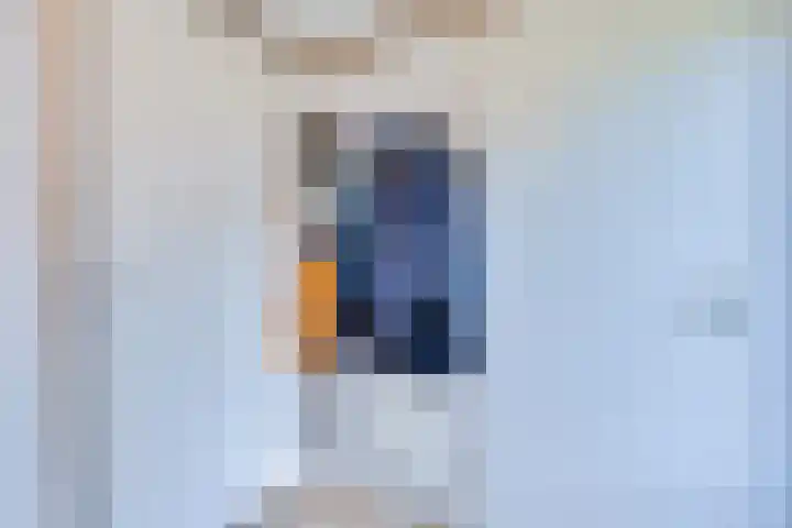 Pauwenhof 17 Goes thumbnail 35