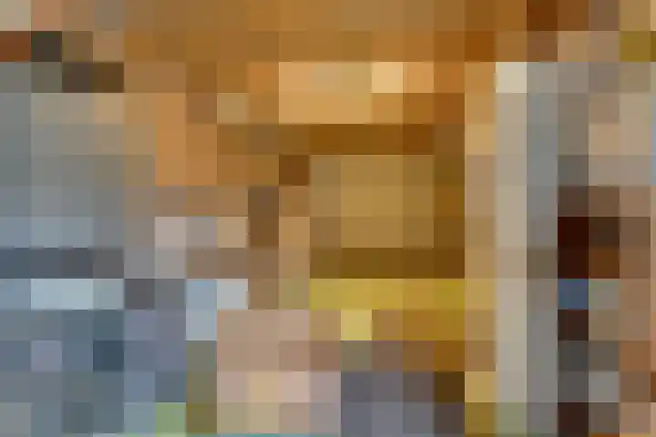 Pauwenhof 17 Goes thumbnail 39